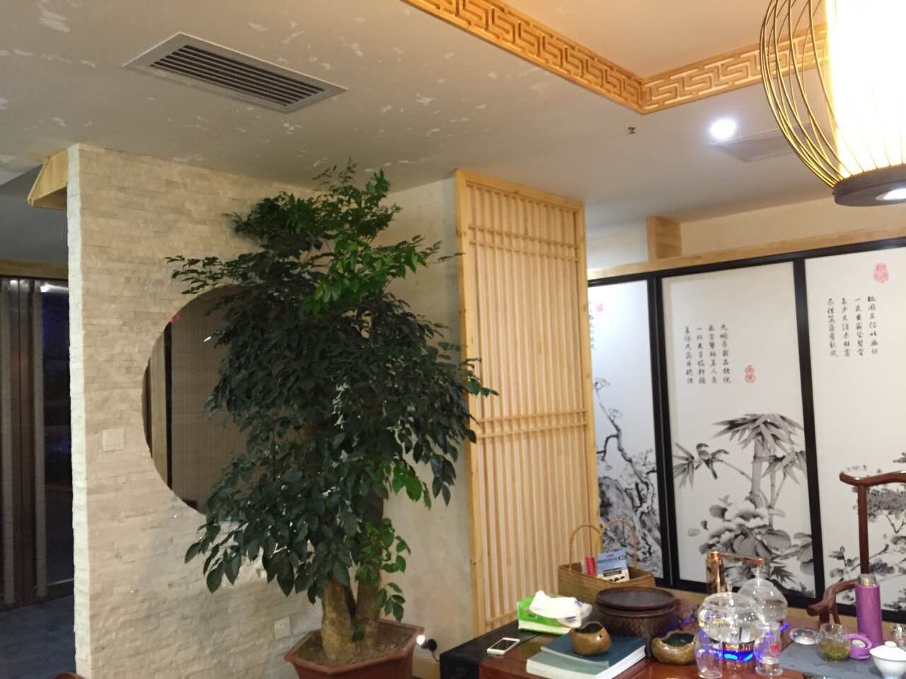 QQ图片20160108111204.jpg