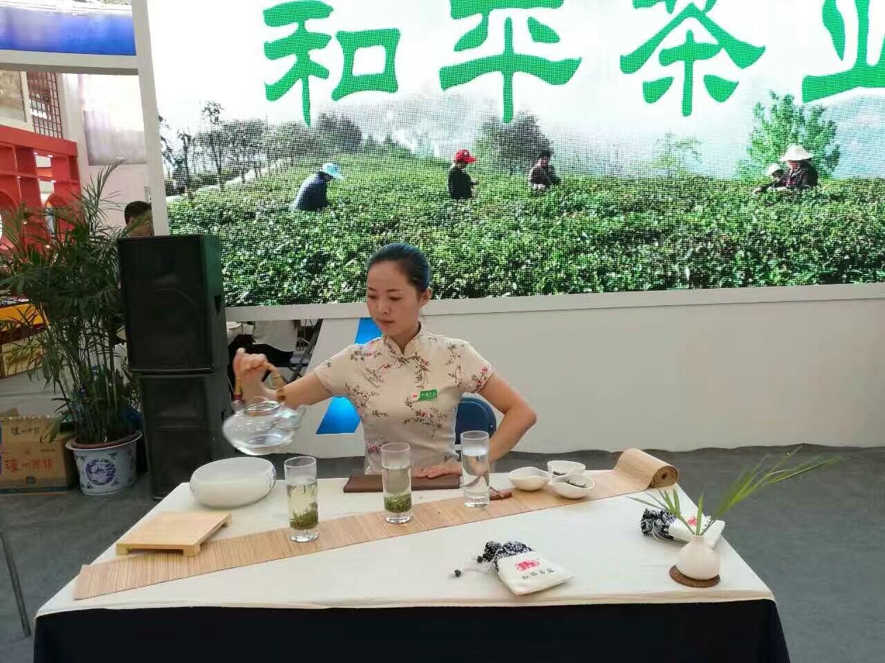 和平茶业茶艺表演