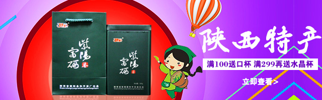 陕西特产
