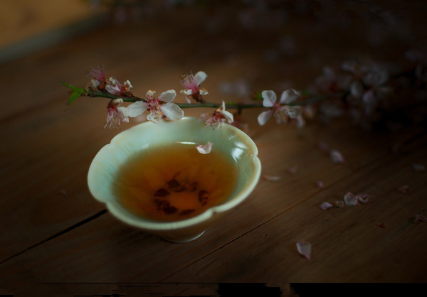 紫阳茶文化