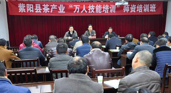 紫阳富硒茶叶培训