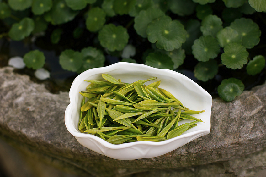 紫阳富硒茶叶加盟