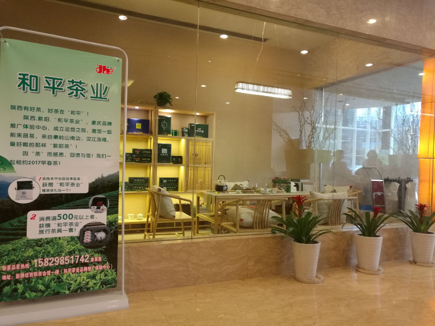 2017年新茶春茶