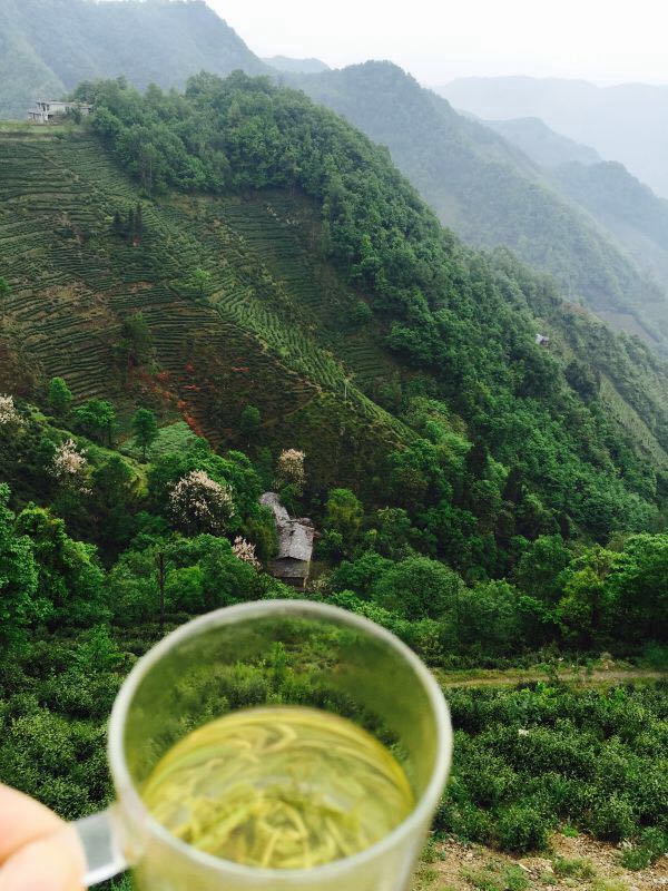 和平富硒茶