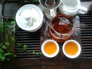 陕西的好茶在紫阳 紫阳的好茶在和平