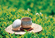 以和平茶厂为代表的陕茶未来的机遇在哪里