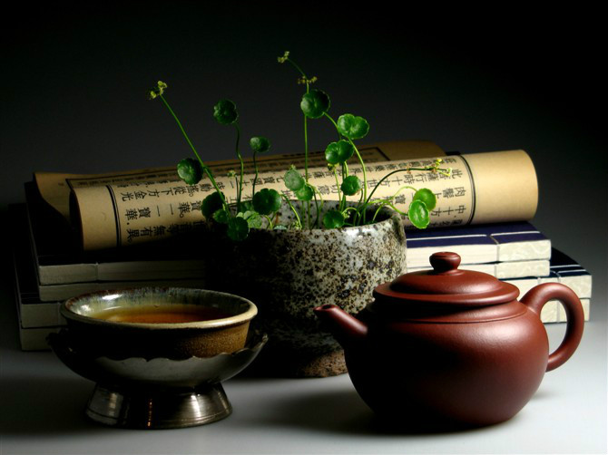 紫阳龙头茶企“和平茶业”挺起紫阳富硒茶发展的脊梁