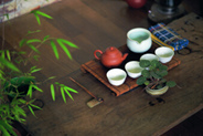 和平茶业与您分享哪些茶适合夏天喝