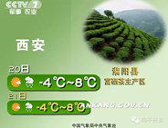 紫阳富硒茶宣传广告将亮相央视七套