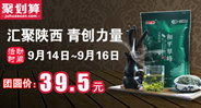 聚力紫阳茶 香溢四海客