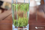 紫阳富硒茶销售网络初具规模