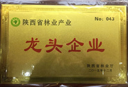 紫阳茶企被评为省级林业产业龙头企业