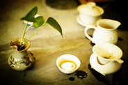 2016年紫阳富硒茶发展的几个方向
