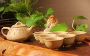 和平茶业36年只为一杯好茶 打造绿色茶叶加盟品牌