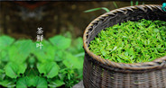 借电子商务助推紫阳富硒茶品牌
