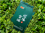 青山绿水紫阳茶 香高 味浓 耐冲泡