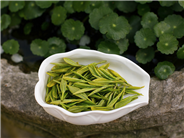 紫阳富硒茶耐泡与否的四大因素