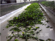 和平茶业清洁化生产流水线正式投入使用