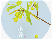 小暑宜茶