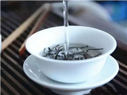 知识贴|到底要不要洗茶？怎么洗？