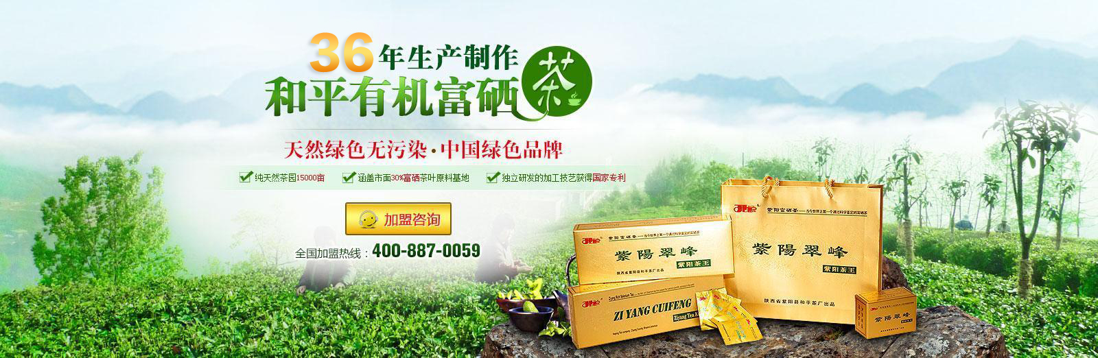 茶叶品牌加盟,紫阳富硒茶加盟